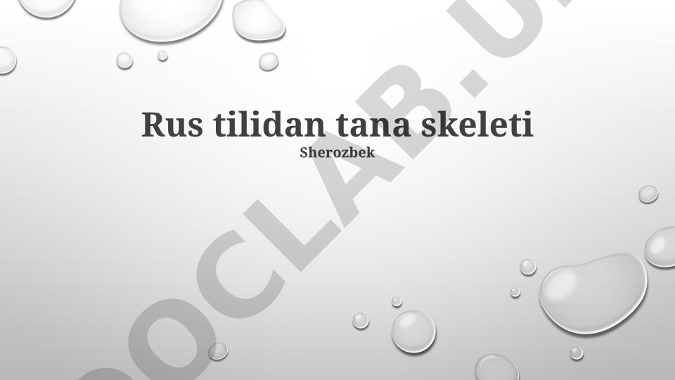 Inson skeleti tuzilishi va vazifalari