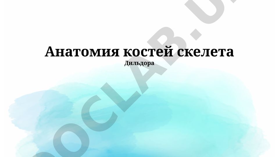 Анатомия костей скелета человека