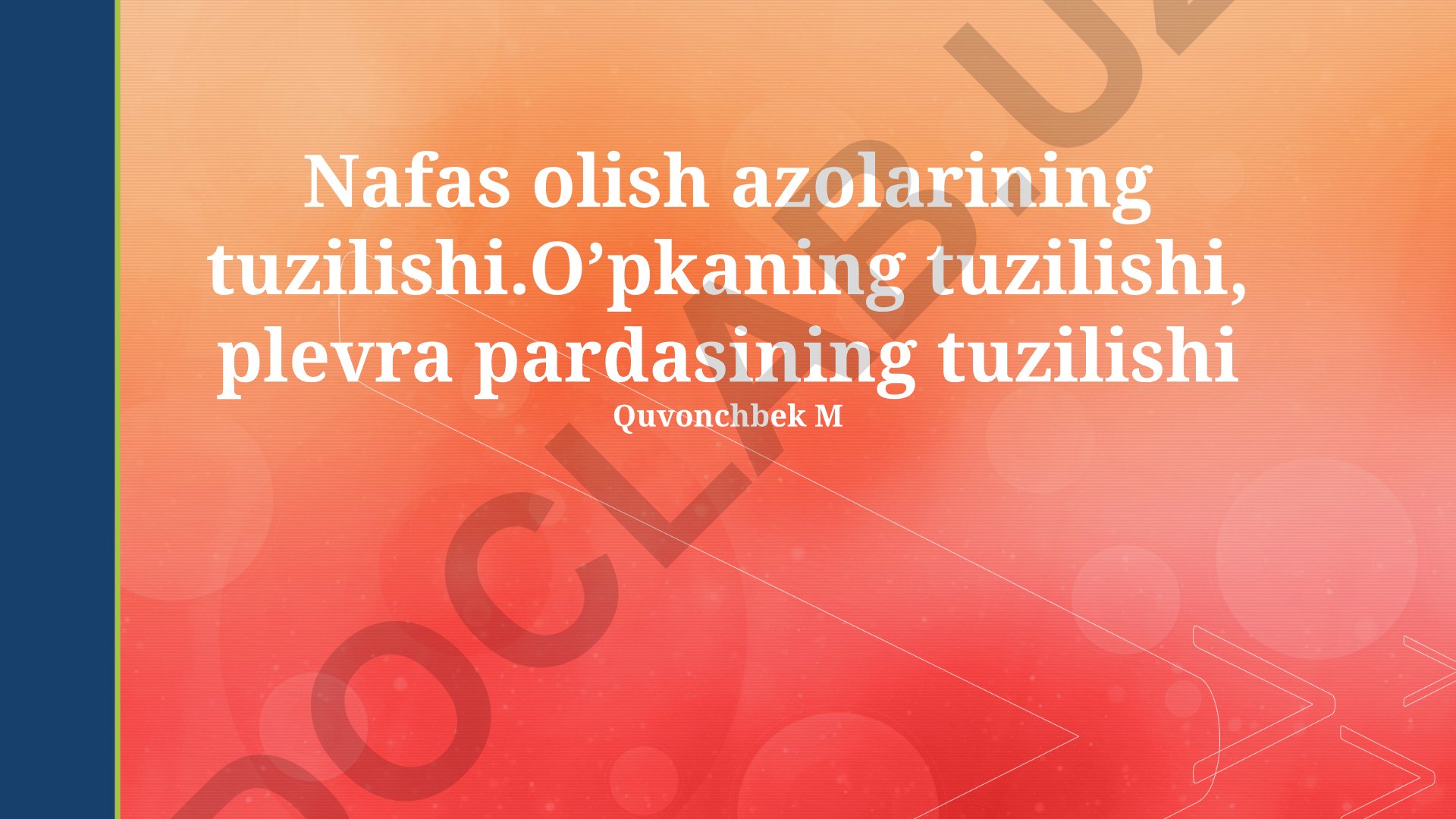 Nafas olish azolari va o'pkaning tuzilishi