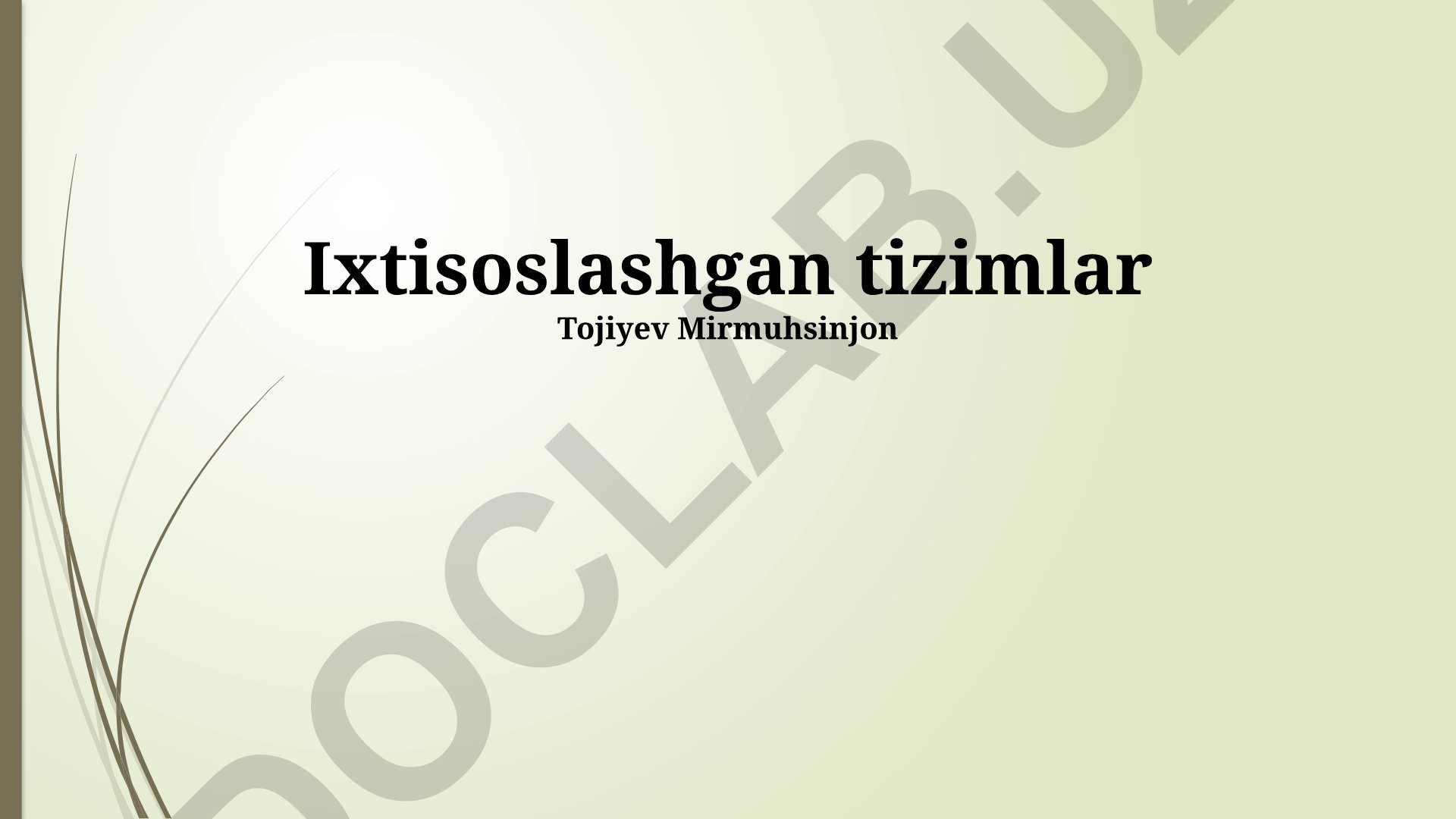 Maxsus tizimlarni amalga oshirish, turlari va loyihalash