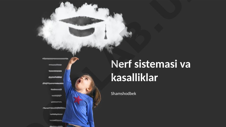 Nerv sistemasi va kasalliklar