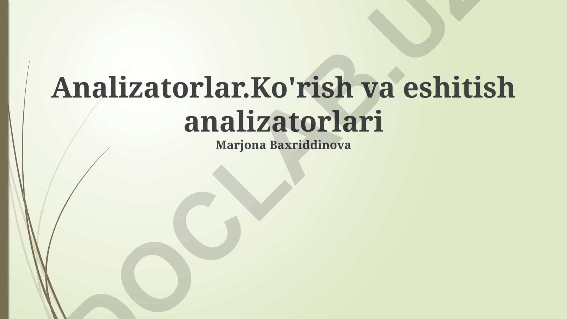Analizatorlar: Ko'rish va eshitish analizatorlari