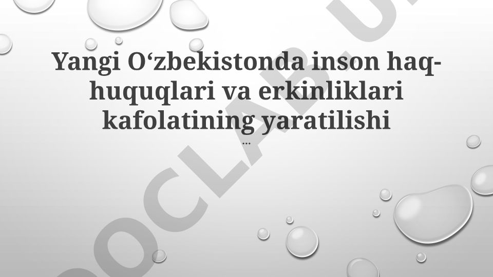 Yangi Oʻzbekistonda inson haq-huquqlari va erkinliklari kafolatining yaratilishi