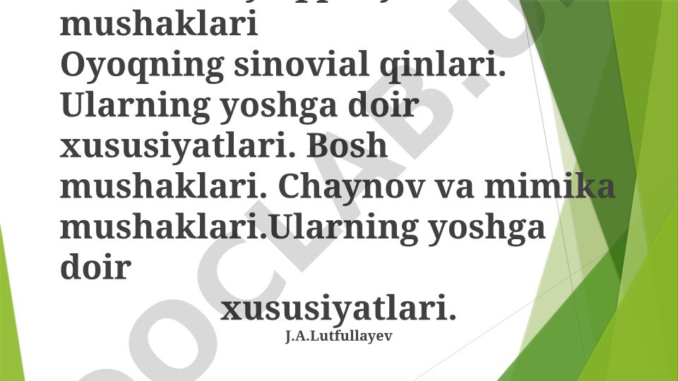Chanoq, son, boldir va oyoq panjasi mushaklari, ularning sinovial qinlari va yoshga doir xususiyatlari