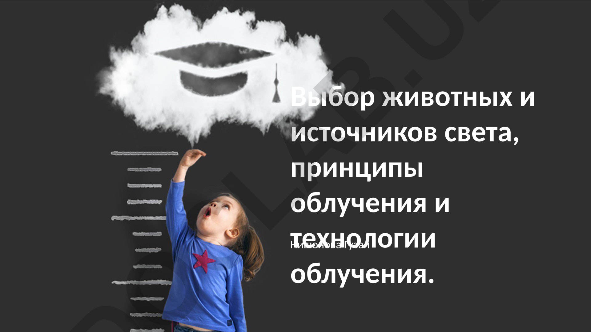 Выбор животных и источников света, принципы и технологии облучения