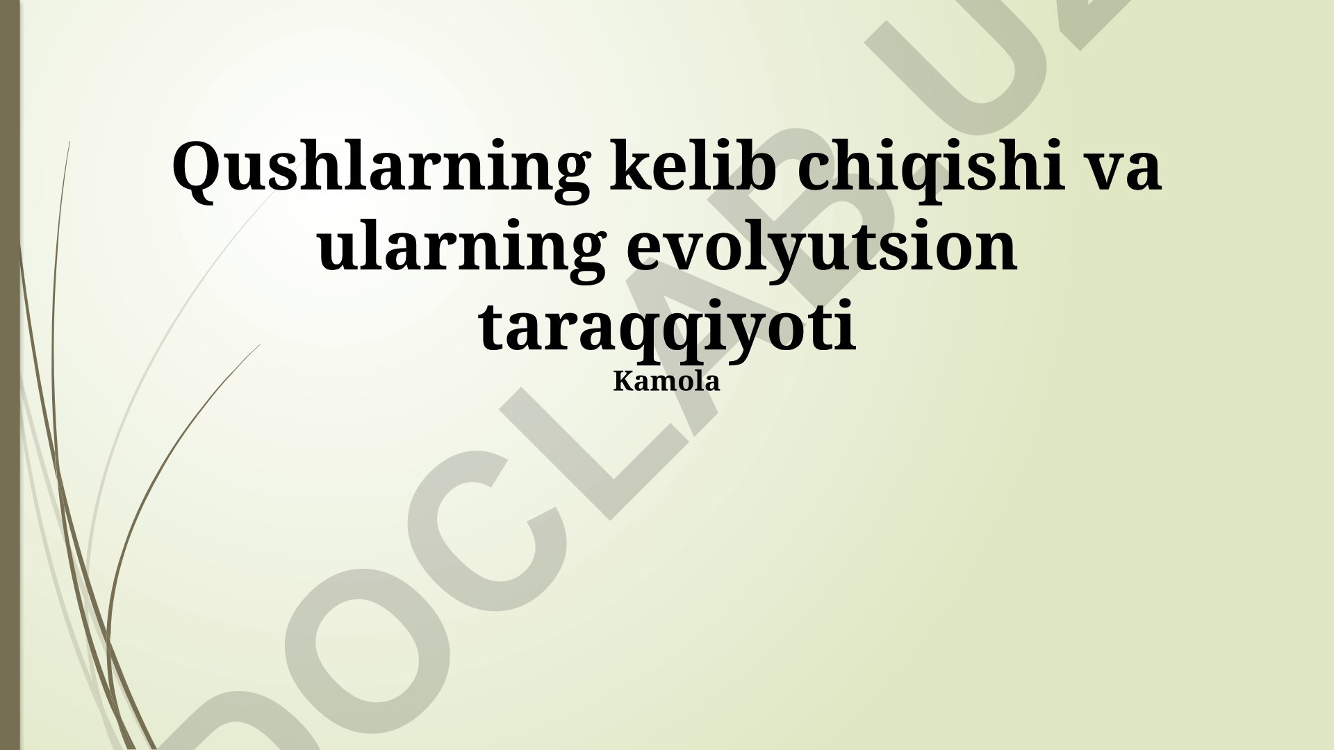 Qushlarning kelib chiqishi va evolyutsion taraqqiyoti