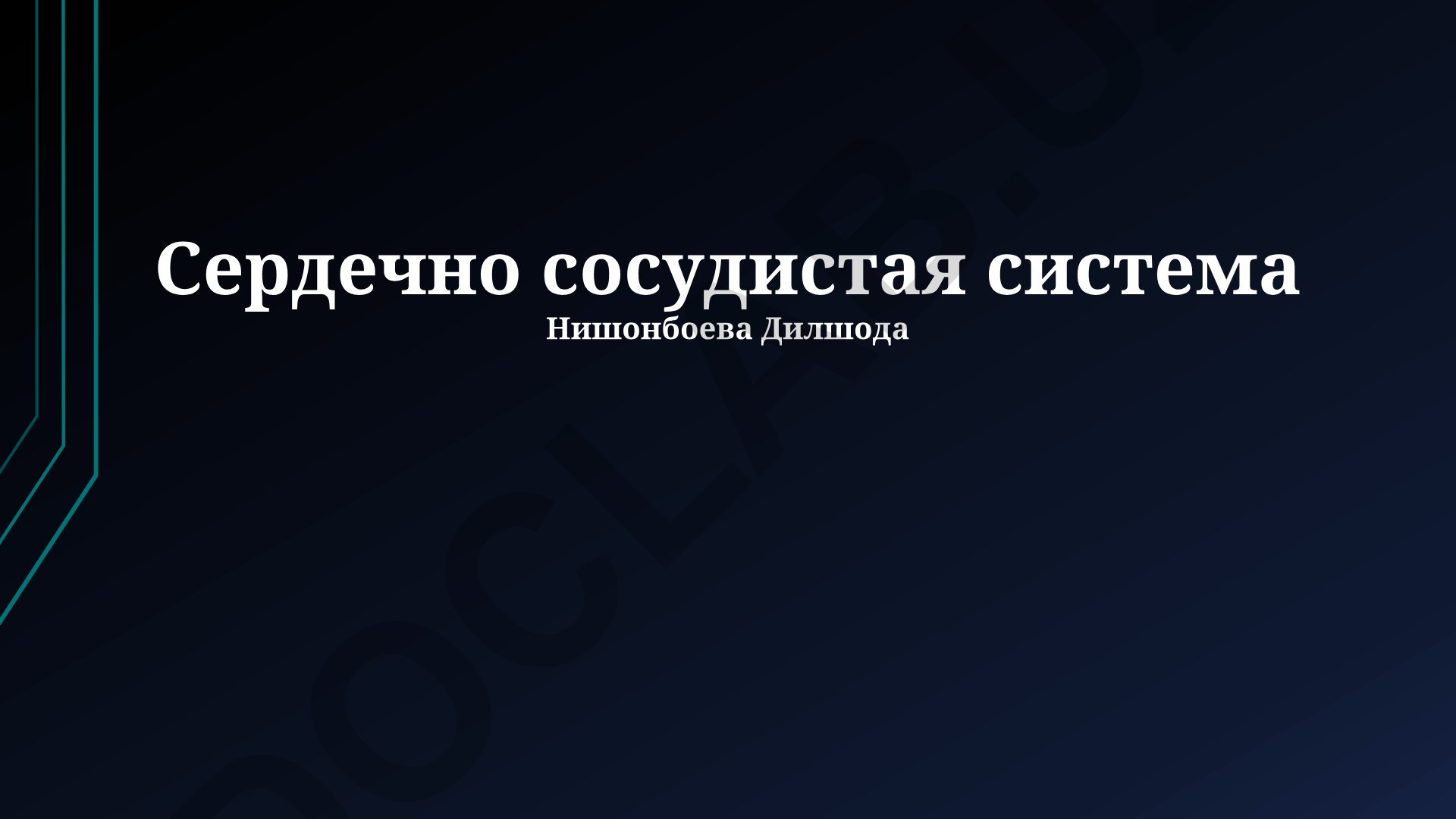 Сердечно-сосудистая система: заболевания, работа сердца и кровообращение