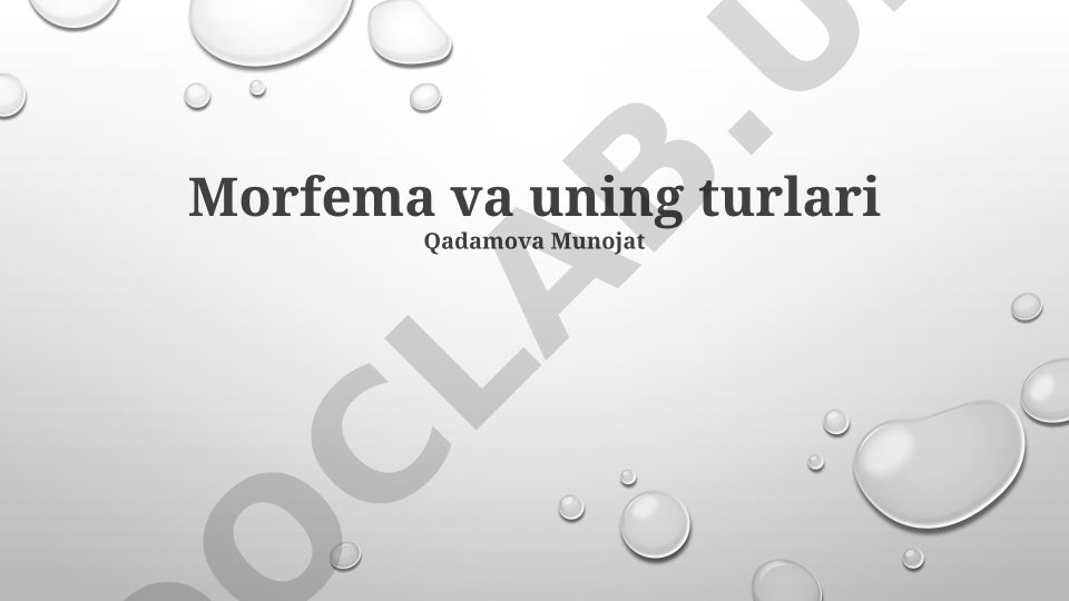 Morfema va uning turlari