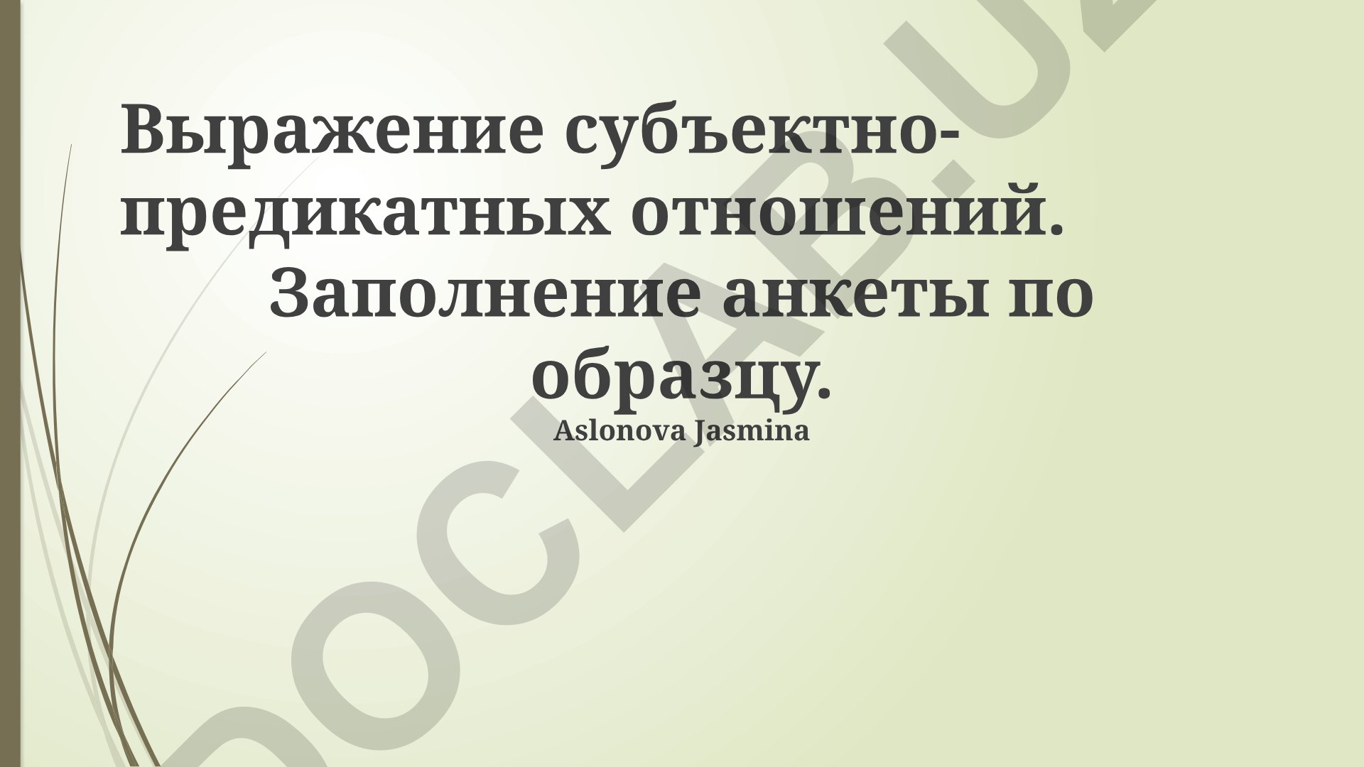 Выражение субъектно-предикатных отношений и заполнение анкеты