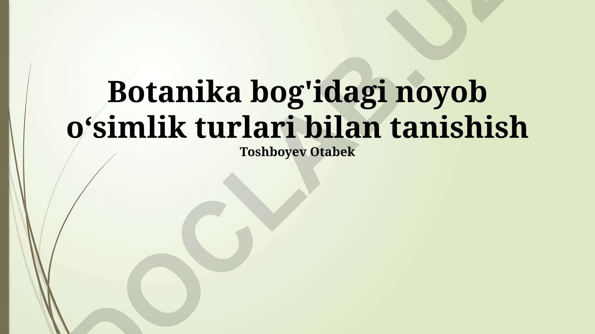 Botanika bog'idagi noyob o‘simlik turlari bilan tanishish