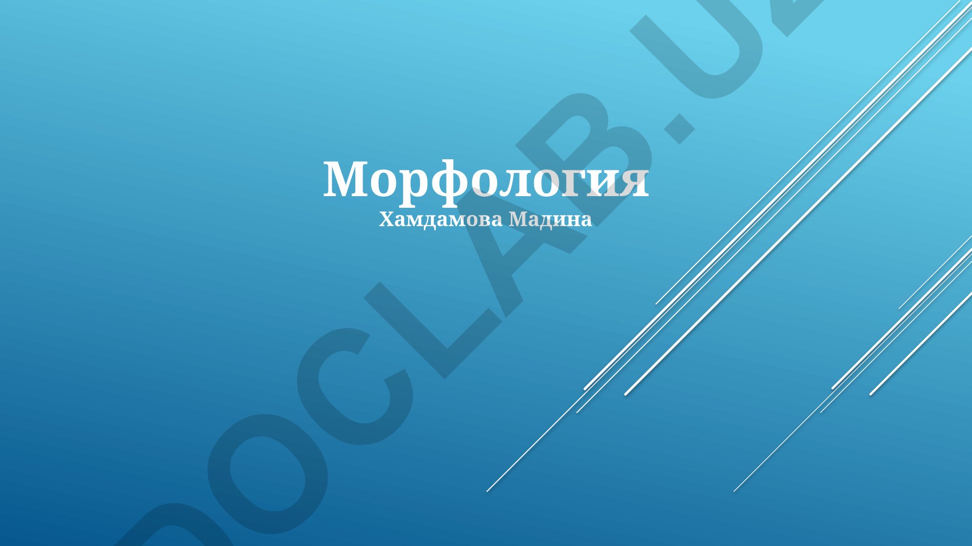 Морфология русского языка: основные понятия и классификация