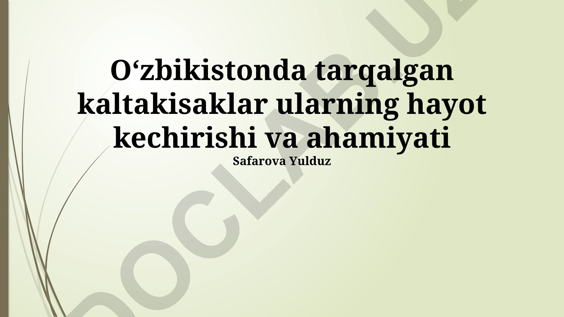 O'zbekistonda tarqalgan kaltakesaklar va kalamushlar