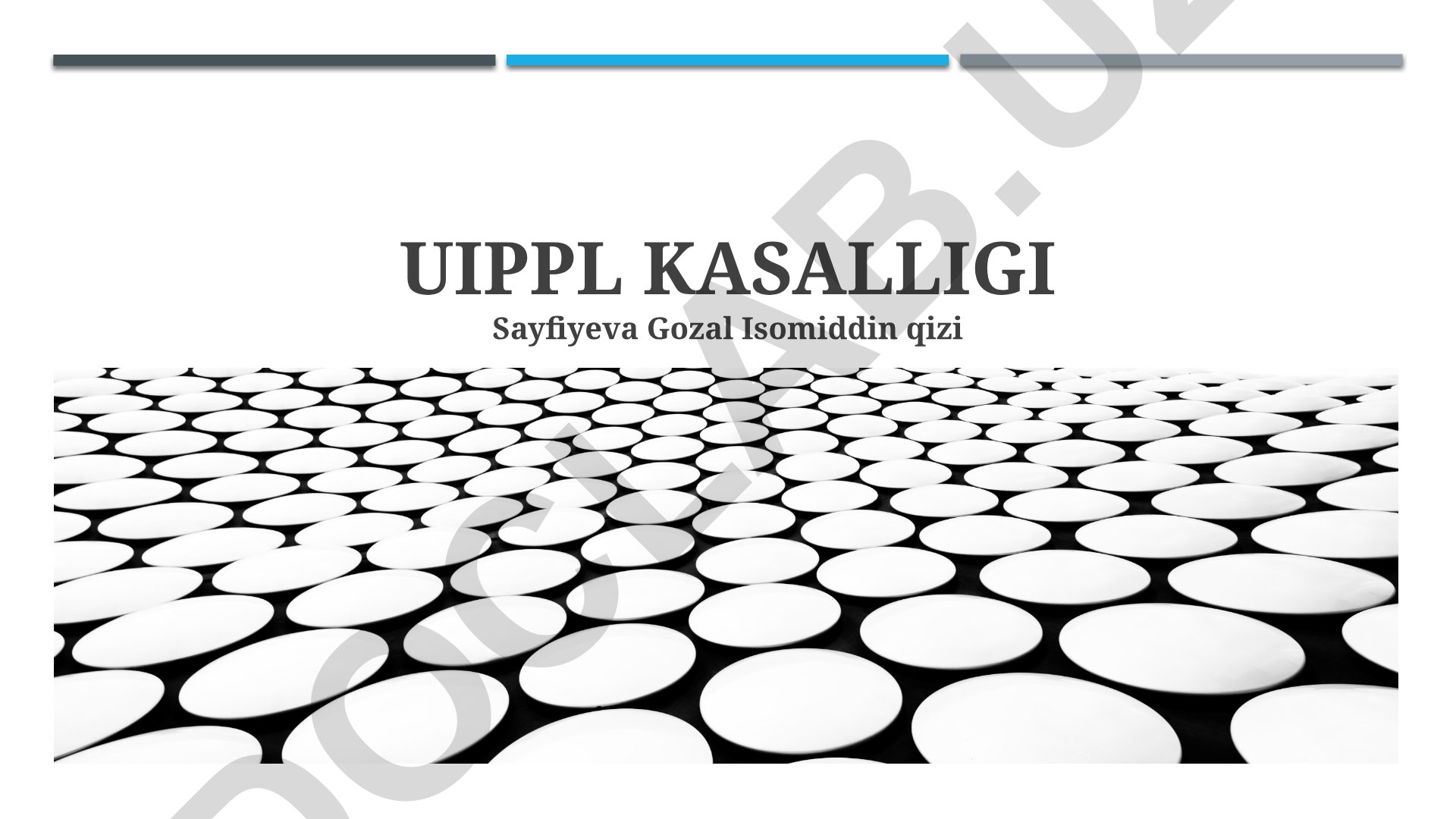 UIPPL Xazinasining Boshqaruv Tuzilmasi va Moliyaviy Faolligi