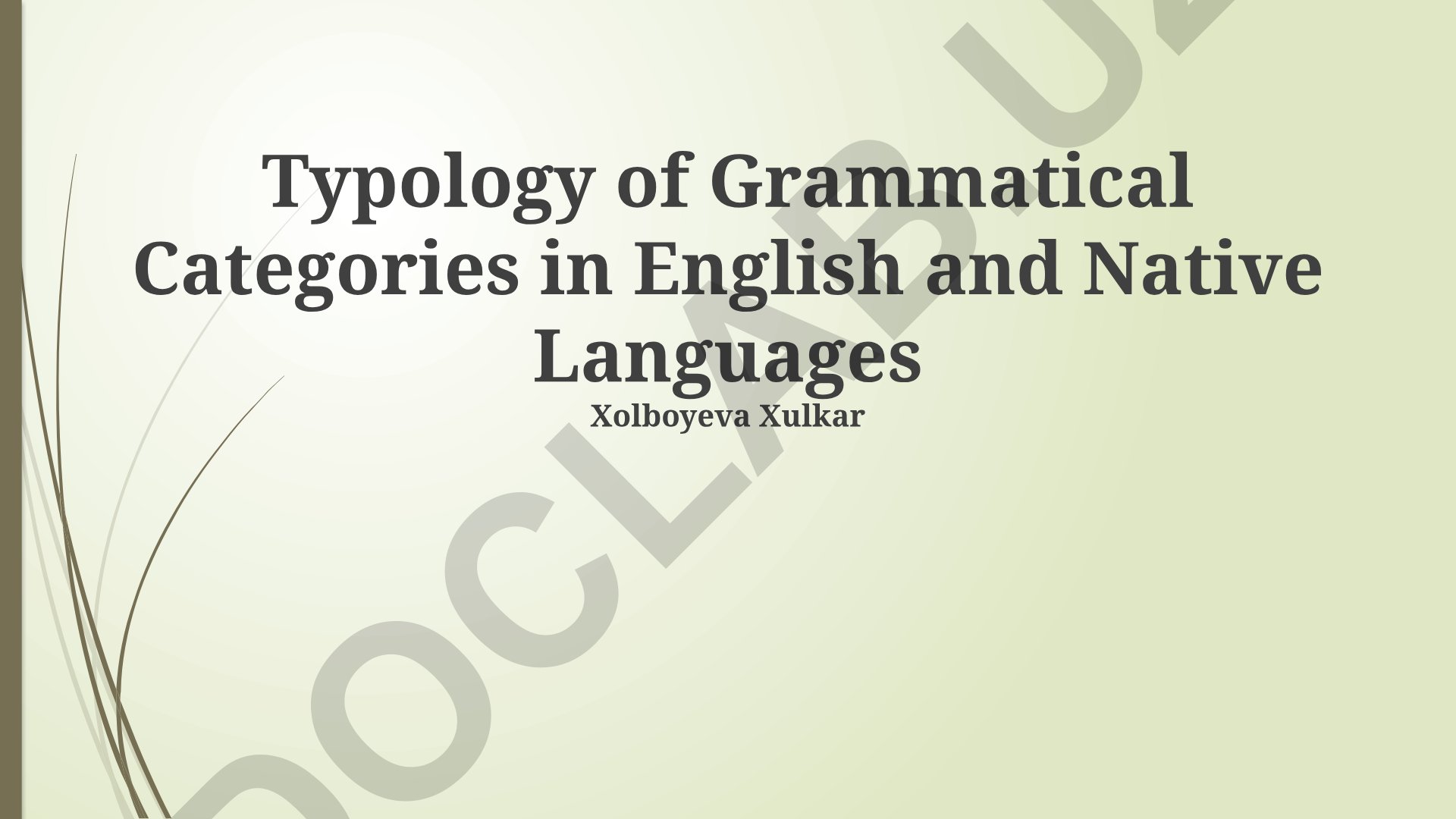 Typology of Grammatical Categories in English and Native Languages