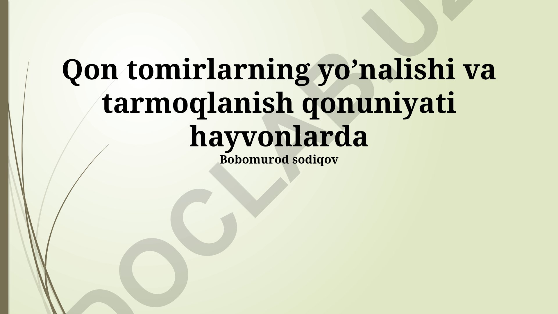 Hayvonlarda qon tomirlarining yo'nalishi va tarmoqlanish qonuniyati