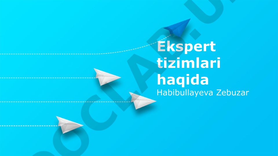 Ekspert tizimlari haqida