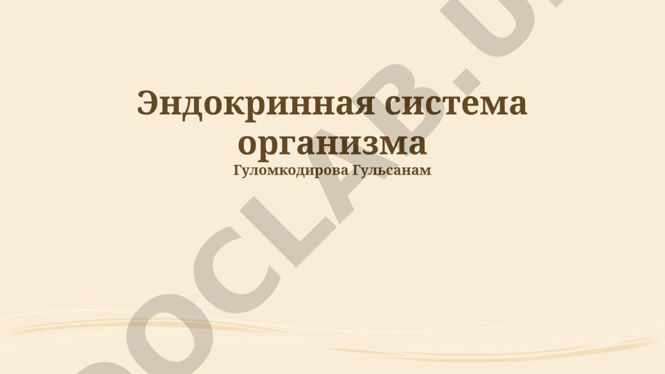 Эндокринная система организма