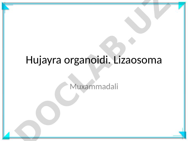 Hujayra organoidlari va lizosoma haqida