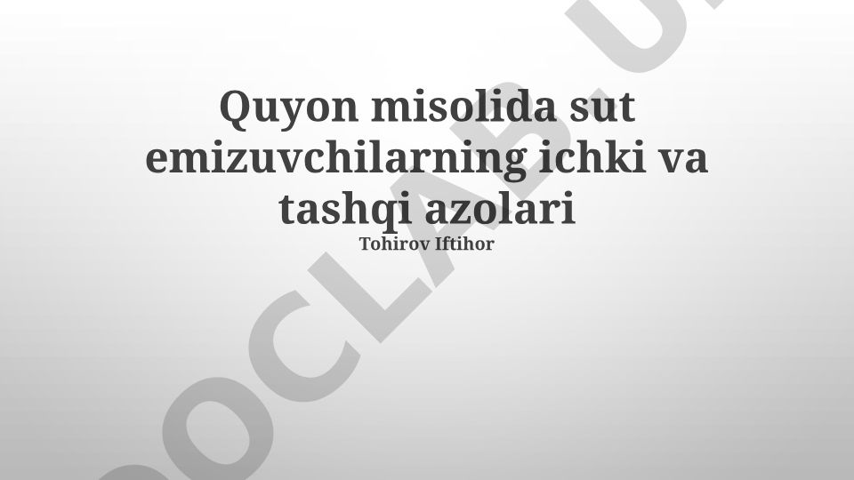 Sut emizuvchilarning jinsiy a'zolari tuzilishi va taqqoslashi