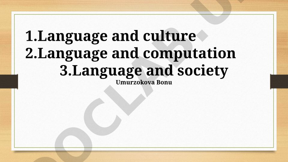 Language and Society: Policy, Variation, and Computational Aspects