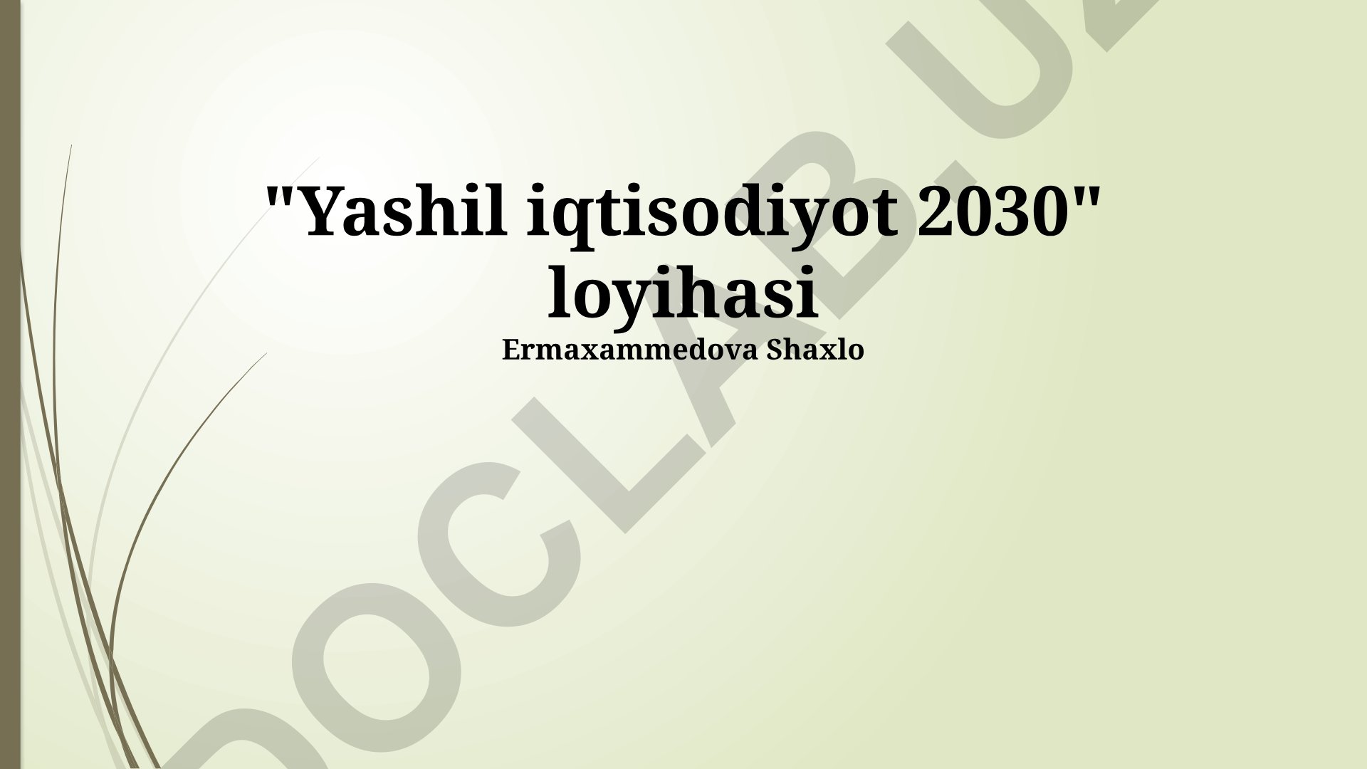 Yashil iqtisodiyot 2030 loyihasi