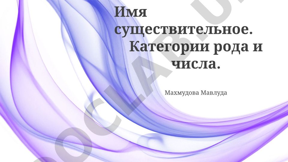 Имя существительное: категории рода и числа в русском языке