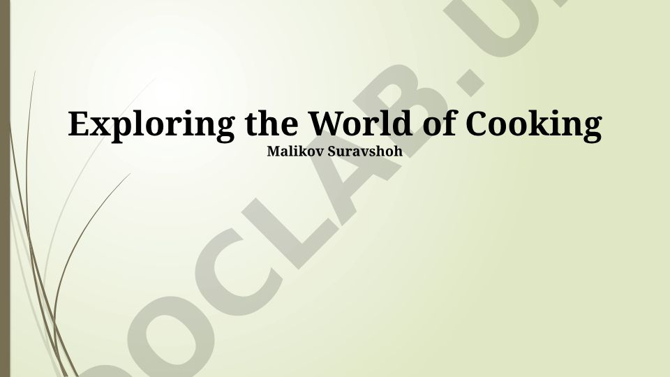 Exploring the World of Cooking