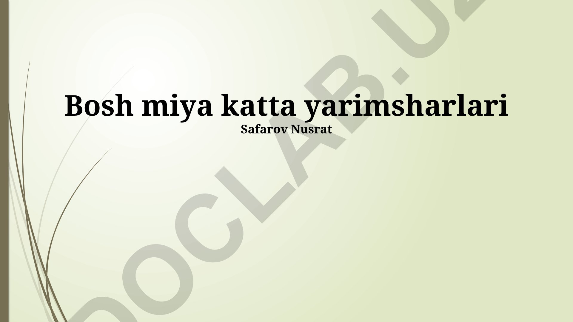 Miya yarim sharlarining tuzilishi, funksiyalari va shikastlanish oqibatlari