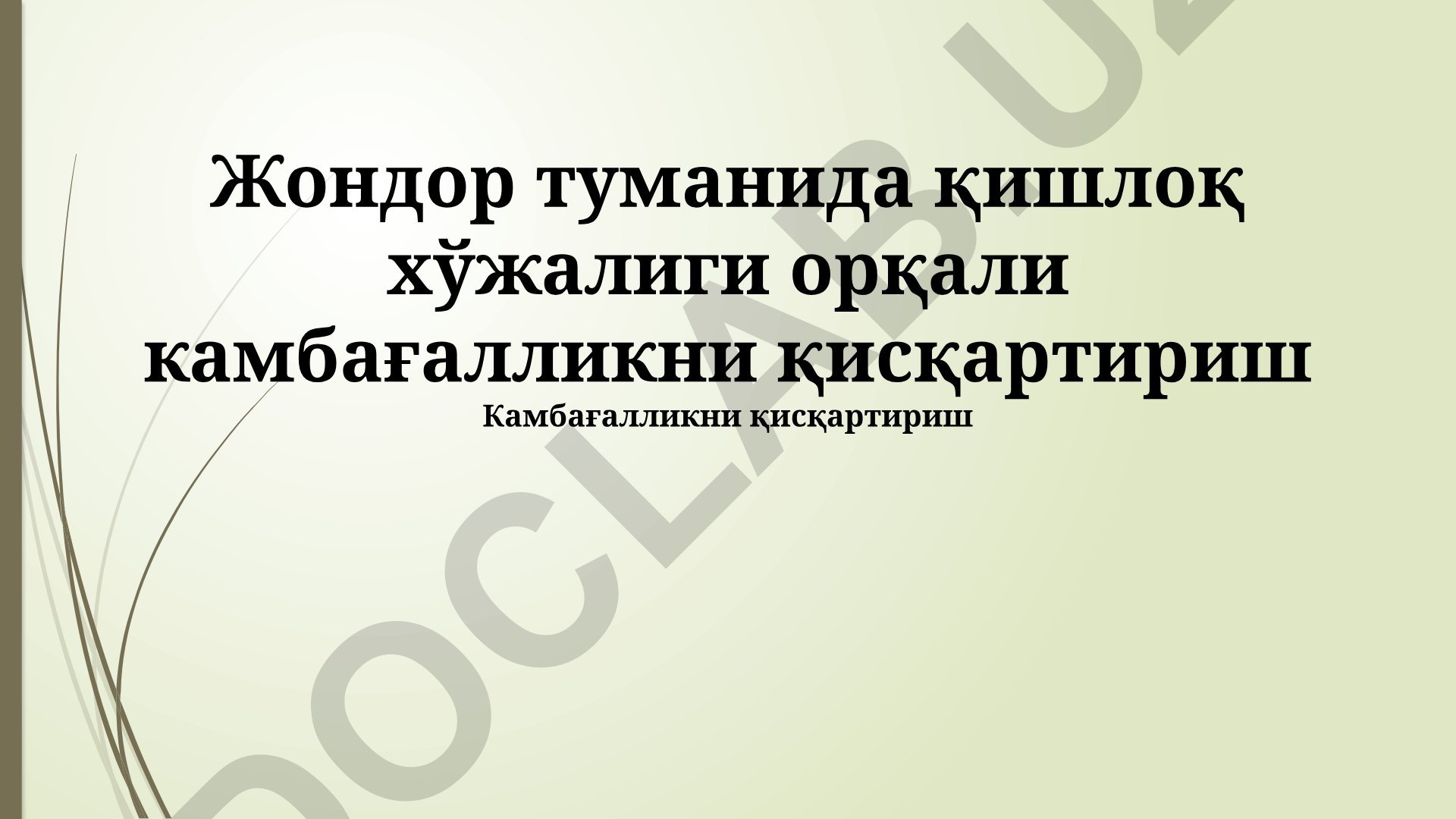 Jondor tumanida qashshoqlikni qishloq xo'jaligi orqali kamaytirish