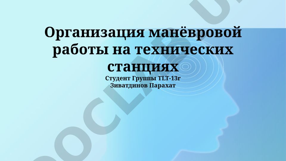Организация манёвровой работы на технических станциях