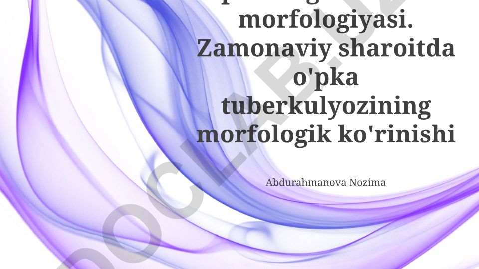 O'pkaning funksional morfologiyasi va zamonaviy sharoitda o'pka tuberkulyozining morfologik ko'rinishi