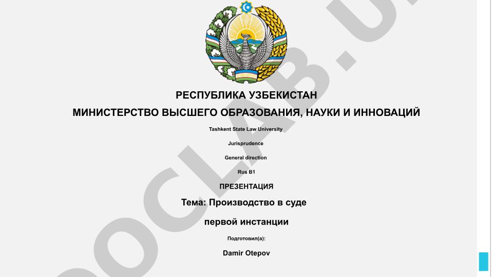 Производство в суде первой инстанции
