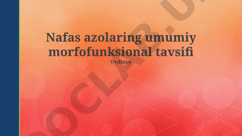 Nafas olish zonasi morfofunksional tavsifi va gaz almashinuvi
