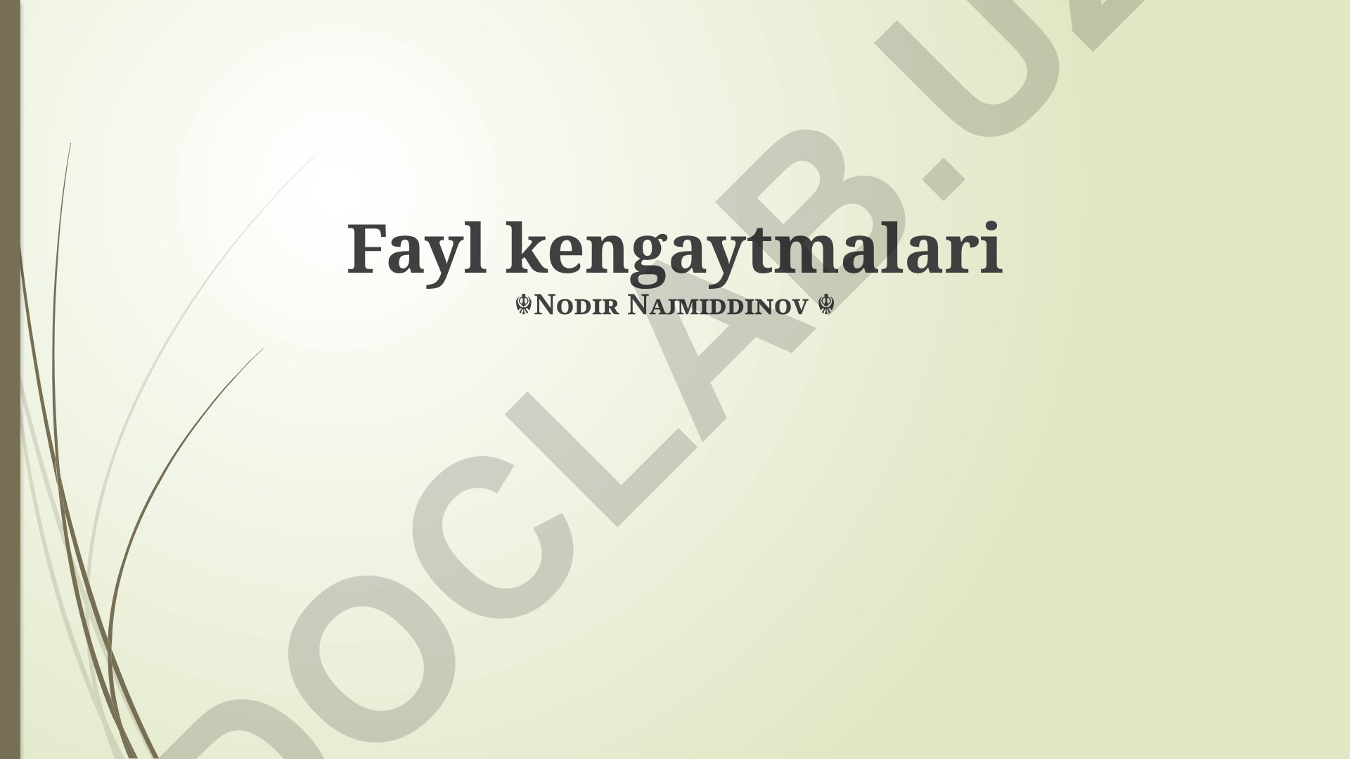 Fayl kengaytmalari: tushuncha, turlari va o'zgartirish