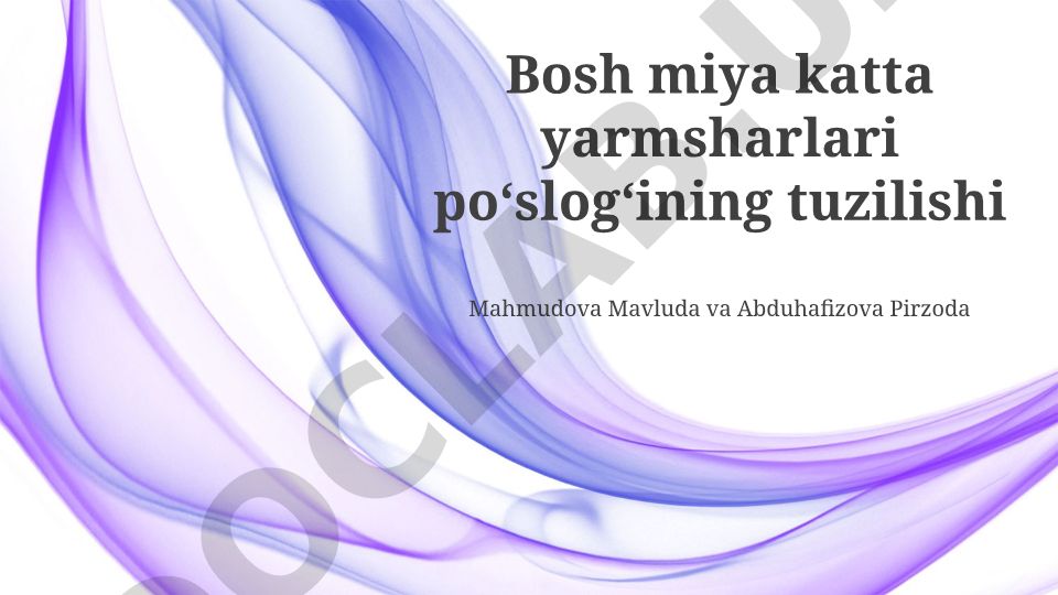 Bosh miya katta yarimsharlari poʻslogʻining tuzilishi
