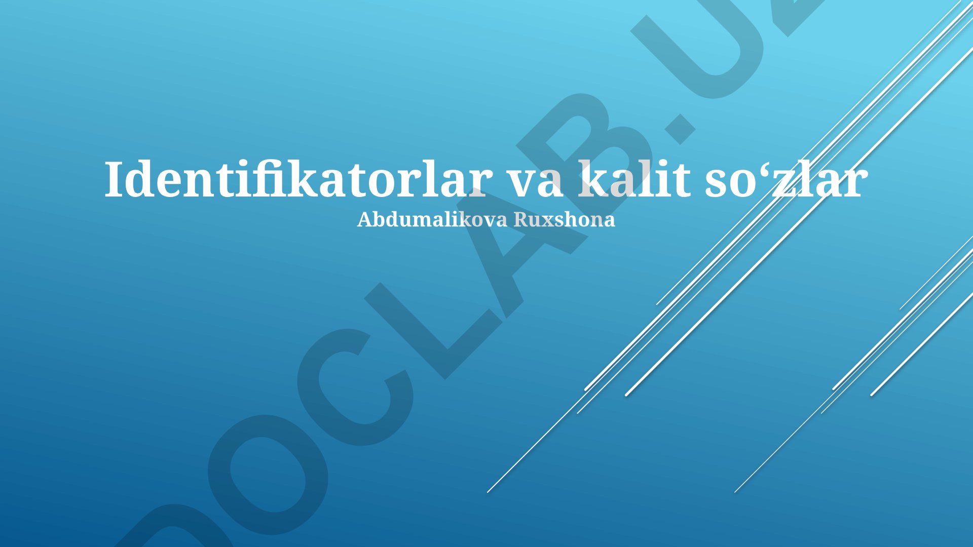 Identifikatorlar va kalit so'zlar
