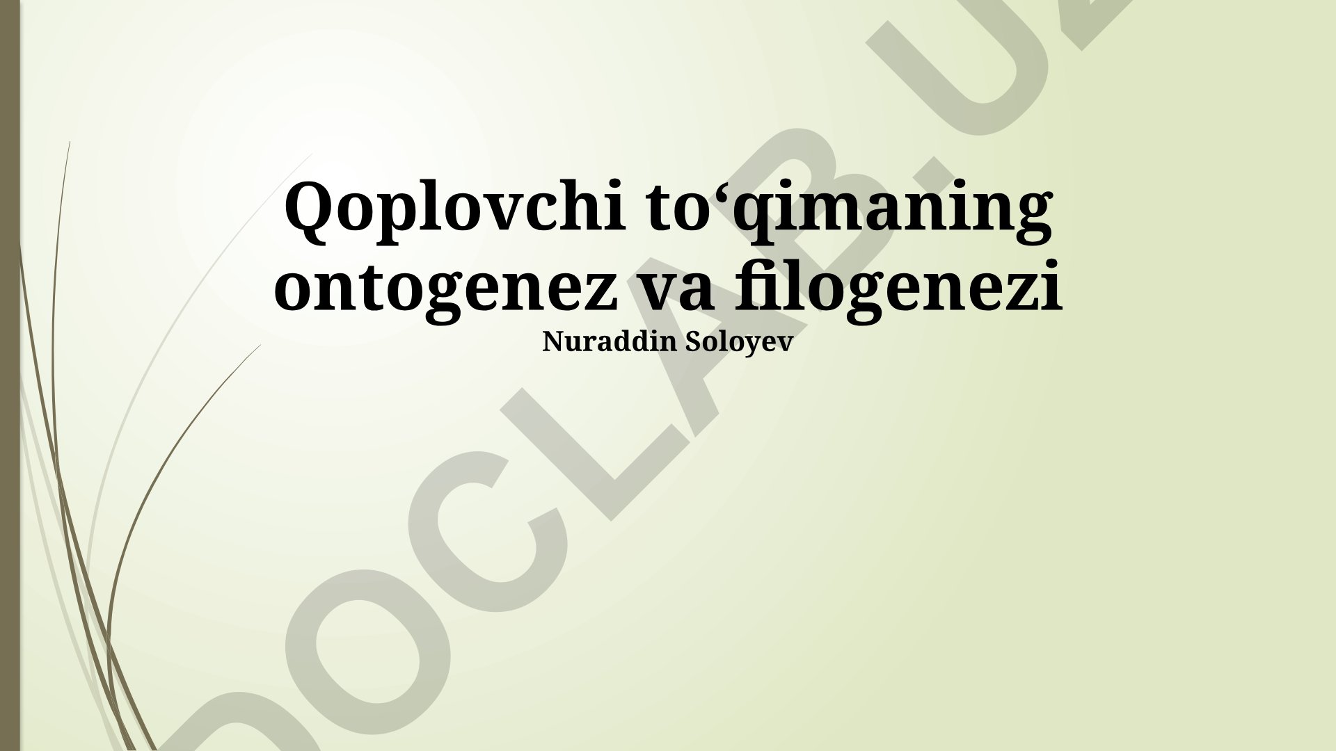 Suzuvchi to'qimaning ontogenez va filogenezi