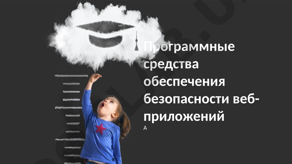 Программные средства обеспечения безопасности веб-приложений