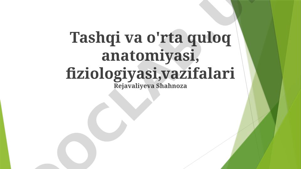 Tashqi va o'rta quloq anatomiyasi, fiziologiyasi va vazifalari