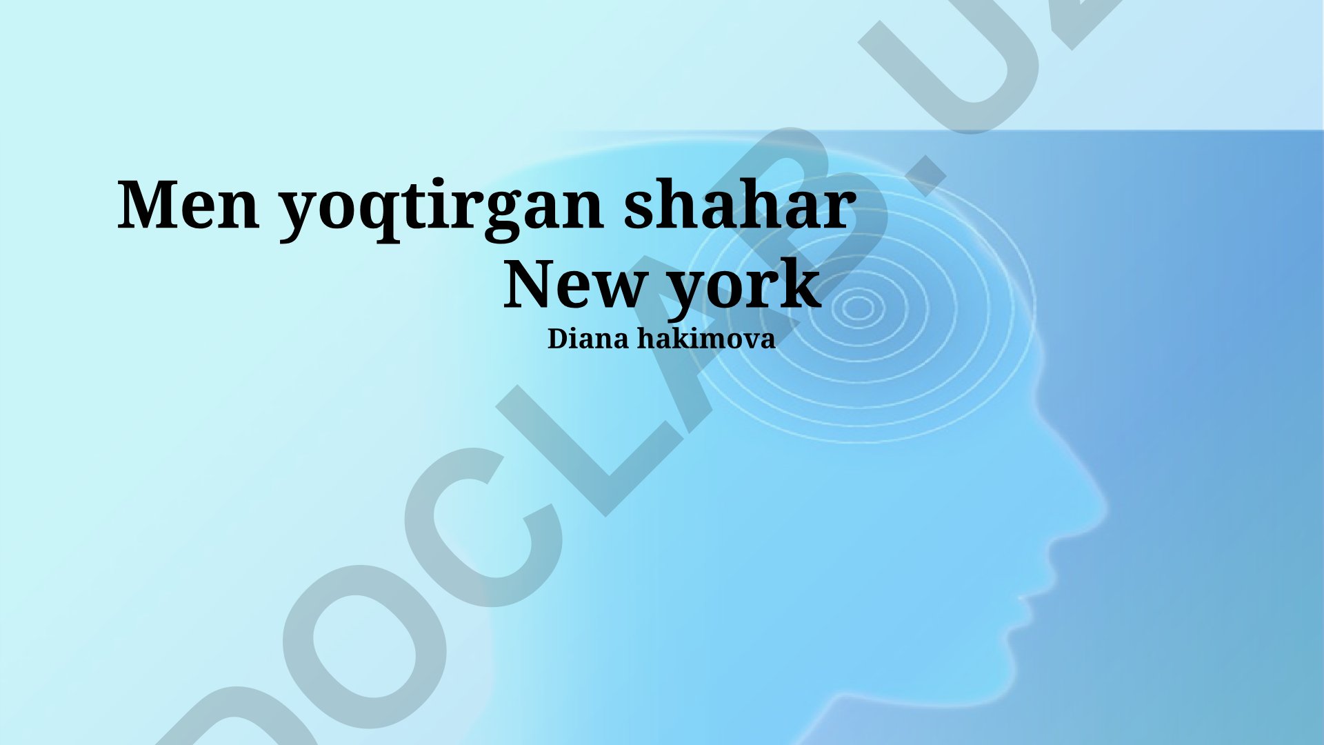 Nyu-York shahrining madaniy xilma-xilligi va diqqatga sazovor joylari