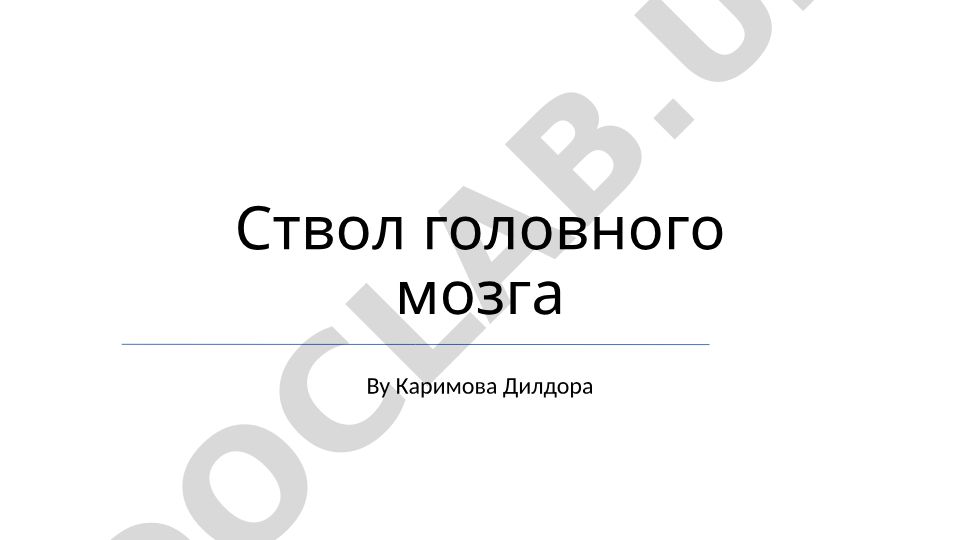 Ствол головного мозга: структура, функции и клиническое значение