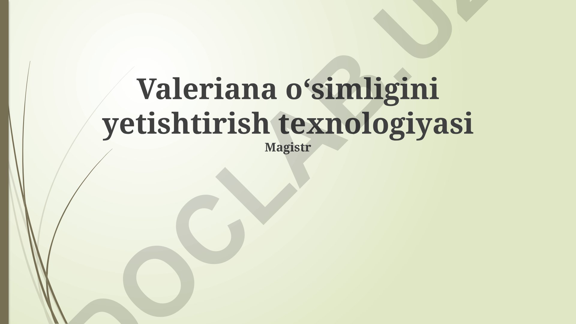 Valeriana oʻsimligini yetishtirish texnologiyasi