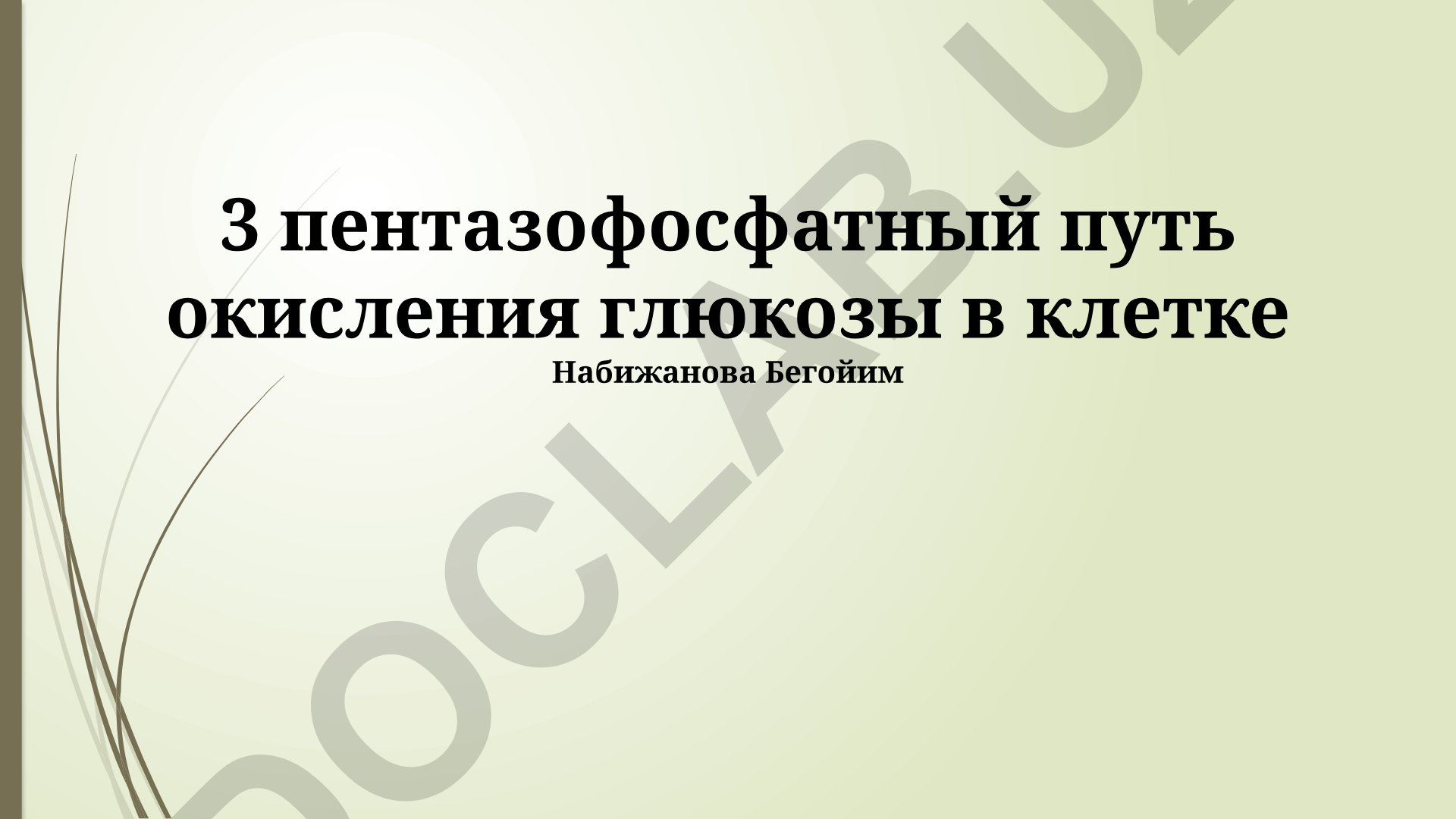 Пентозофосфатный путь окисления глюкозы в клетке