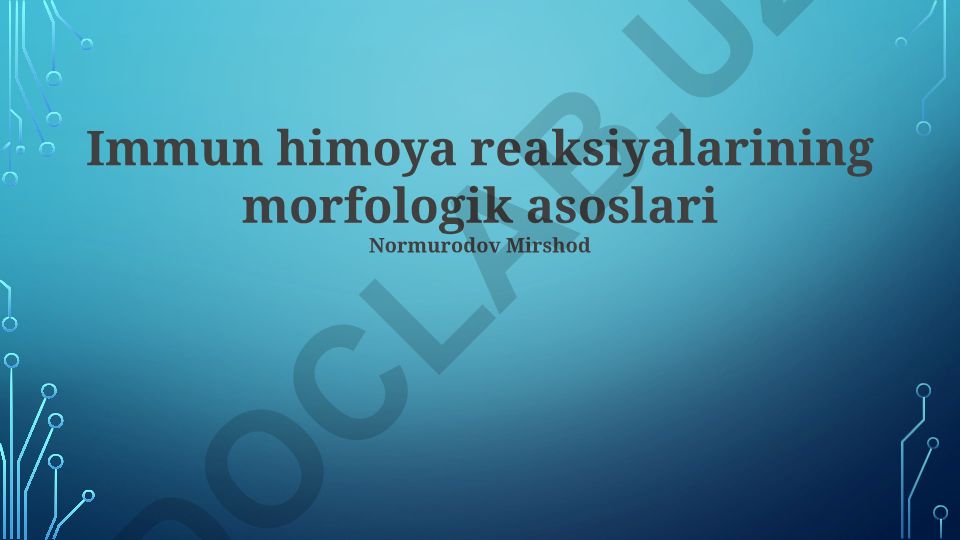 Immun himoya reaksiyalarining morfologik asoslari