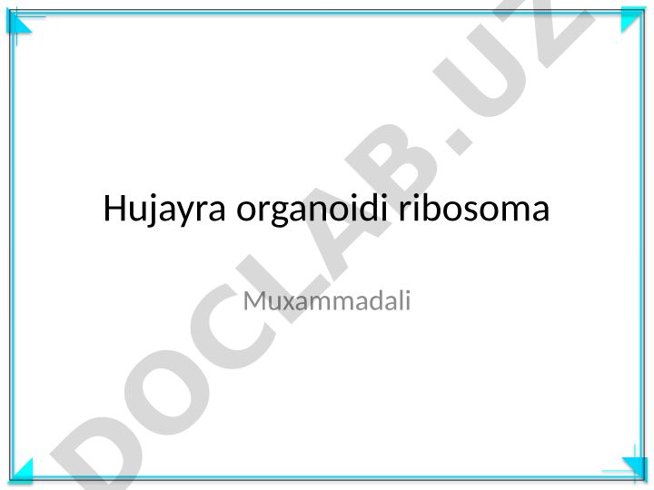 Ribosoma va oqsil sintezi