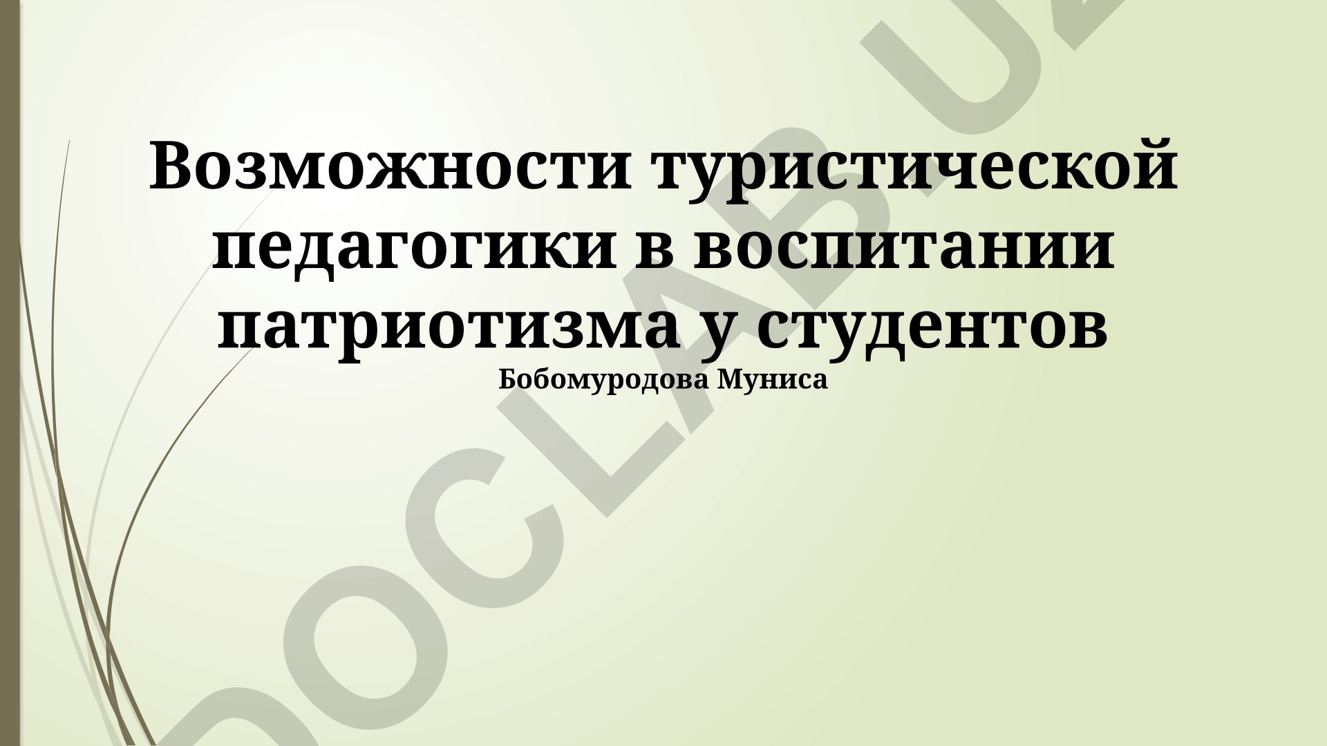 Возможности туристической педагогики в воспитании патриотизма у студентов