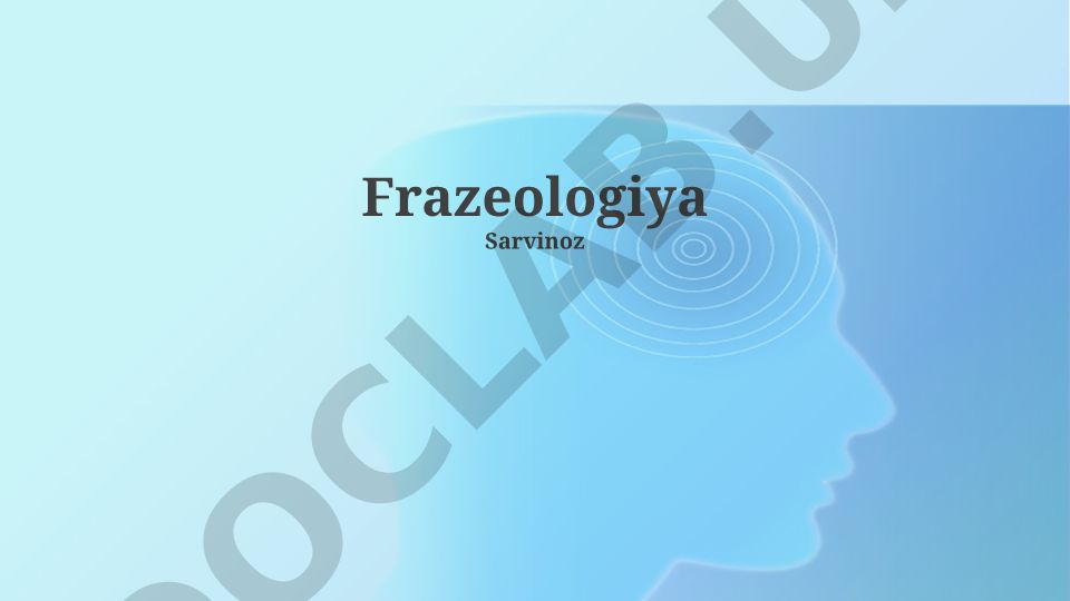Frazeologiya: Ta'rif, Turlari va Xususiyatlari