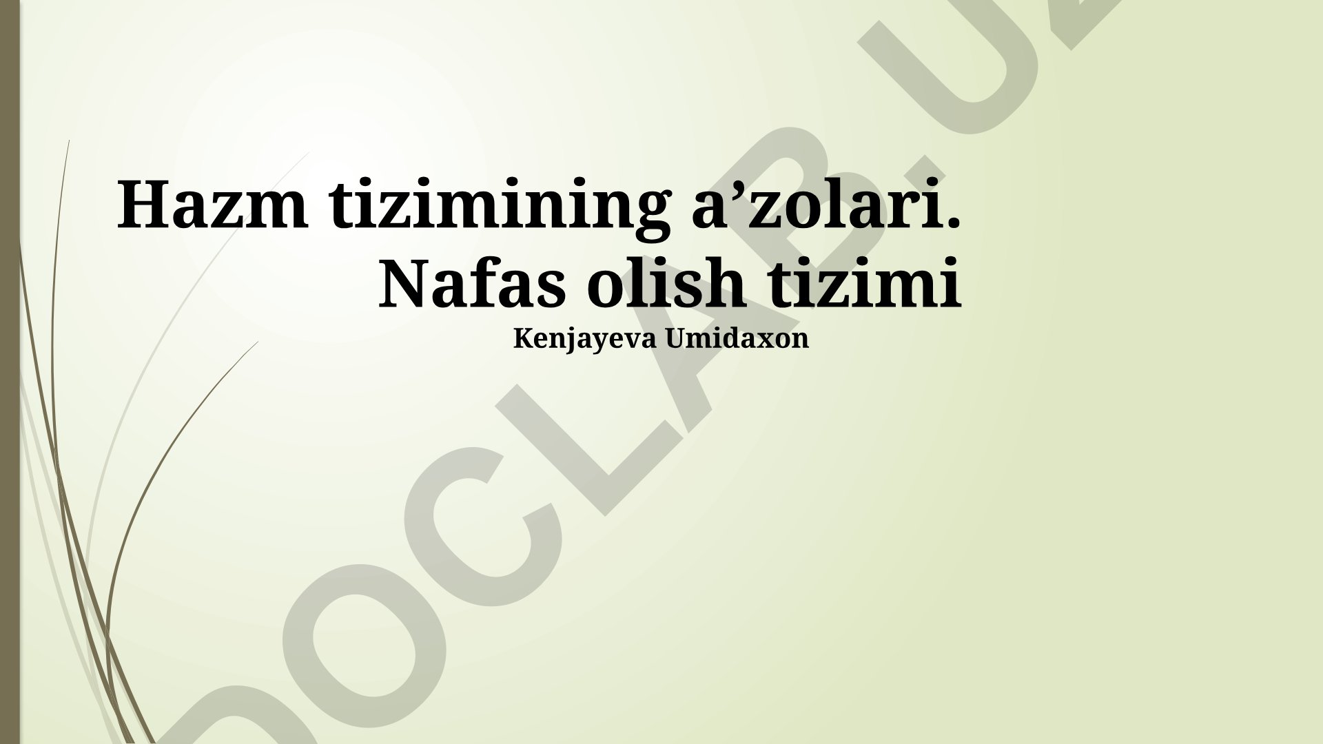 Hazm va nafas olish tizimlari a'zolari