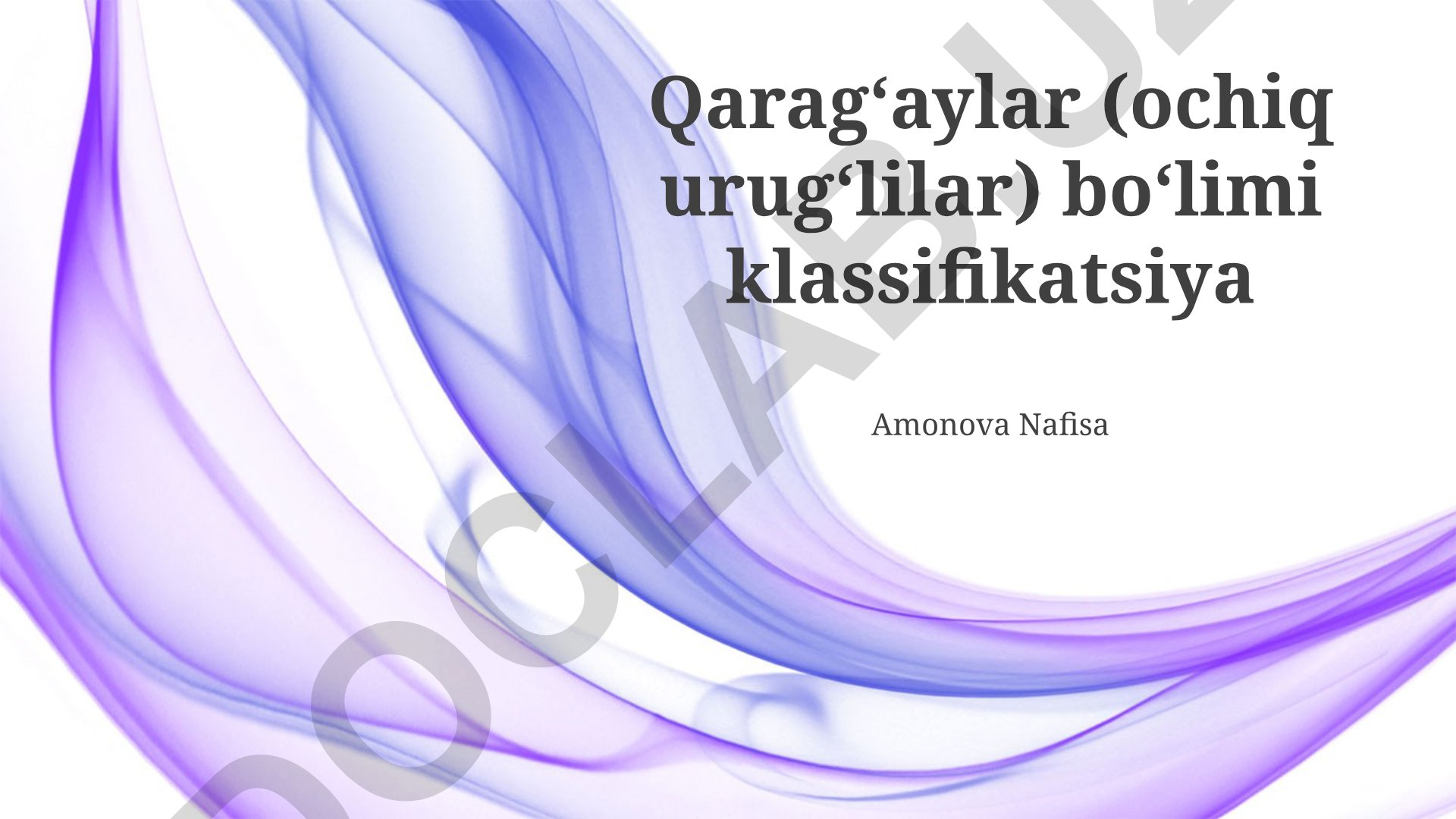 Qarag'aylarning tasnifi, tarqalishi va amaliy ahamiyati