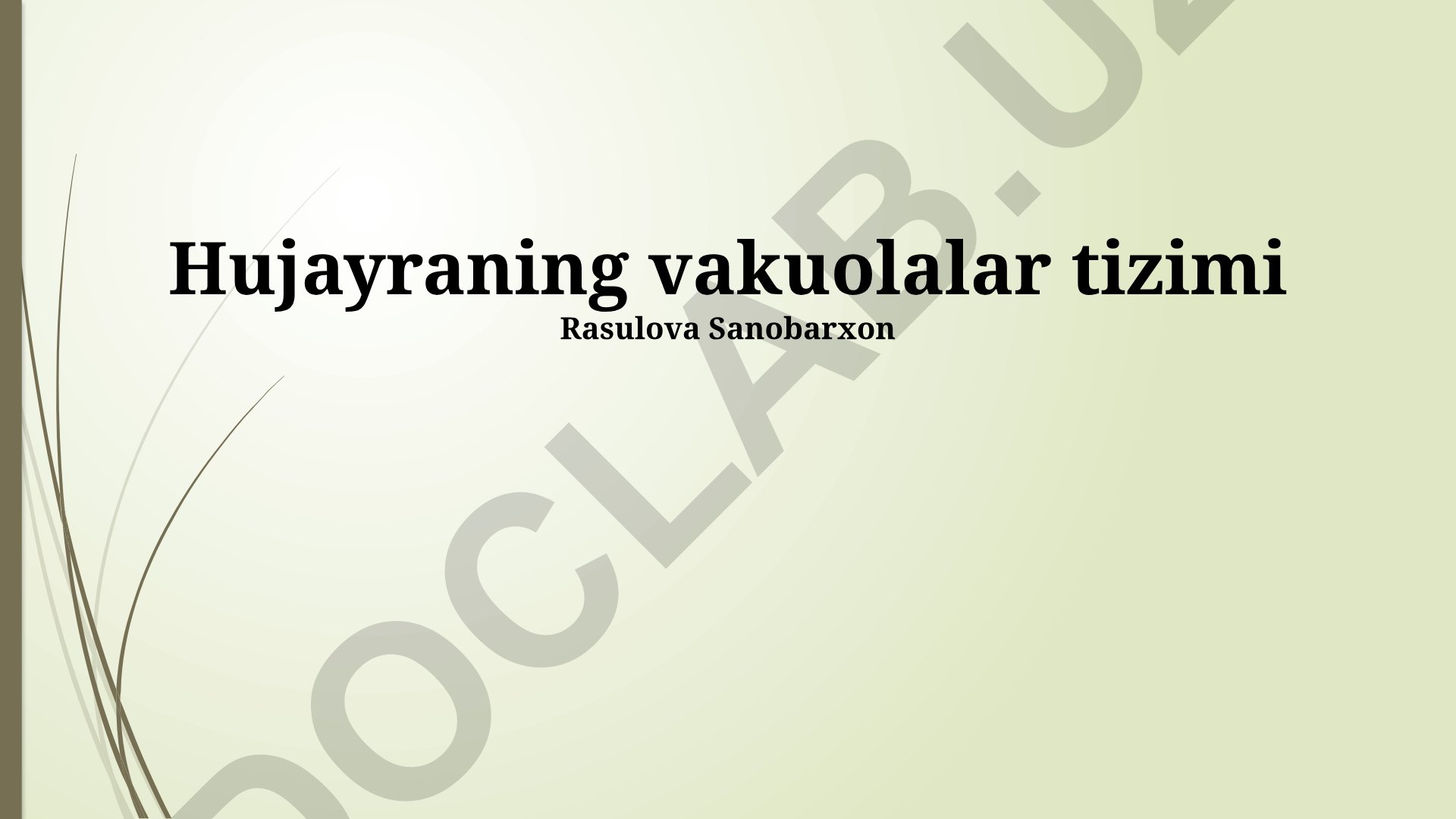 Hujayraning vakuolalar tizimi